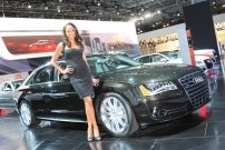 2012 New York Auto Show Girl
